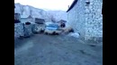 Овцы водят хоровод