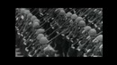 Бенито Муссолини