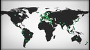 What Is The Fulbright Program