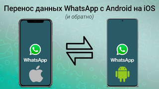 Как перенести данные WhatsApp с Android на iPhone (iOS на iOS, Android на Android, Android на iOS)