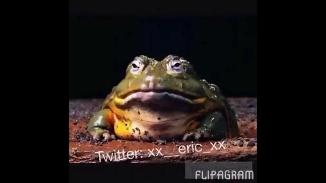 Videoplayback[1]