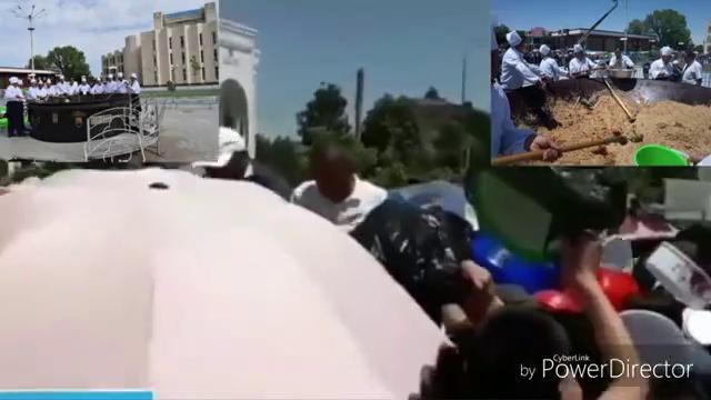 Toshkentda Qattiq Shamol Kelib Mashinalar Daraxt Ostida Qoldi. Tezkor Xabarlar yangilik