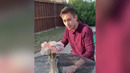 Отношения Звезд Тик Тока в Реальной Жизни