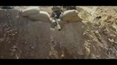 ССО России в Действии • SSO of Russia in Action • 2018