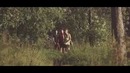 OzzyBayne – Только Наверх