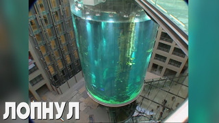 В Берлине лопнул крупнейший в мире цилиндрический аквариум на 1 млн литров воды