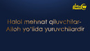 Halol mehnat qiluvchilar Alloh yo‘lida yuruvchilardir