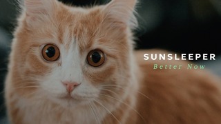 Sunsleeper – Better Now (Official Music Video 2019)