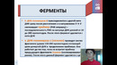 Replikatsiya