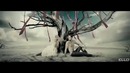 Amouage – Солнце