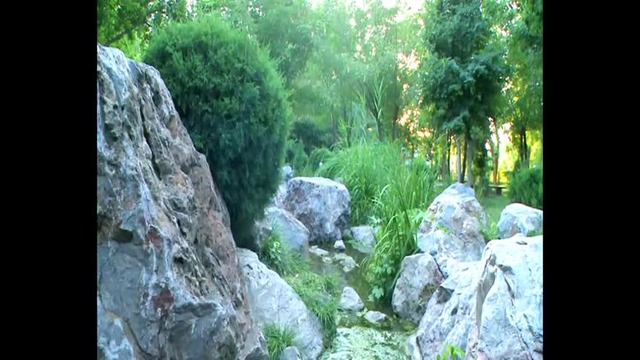 Японский сад от Лолы