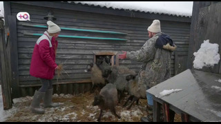 Обмен домами. Сезон 1. Выпуск 5. Великий Новгород – Малайзия (26.03.2019)