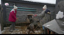 Обмен домами. Сезон 1. Выпуск 5. Великий Новгород – Малайзия (26.03.2019)