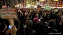 Know Your Meme: Occupy Wall Street – англ