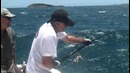 Combat carangue 50 kgs au popper