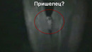 Пришельца сняли на камеру? Загадочные существа снятые на видео 3
