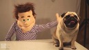 Toy Critic Pug