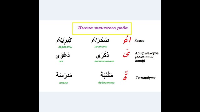 Арабский язык для начинающих урок 14 Род имени