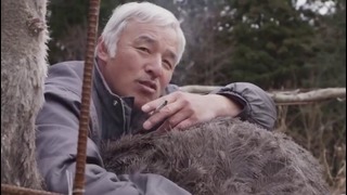 Этот человек спасает брошенных животных в зоне отчуждения Фукусимы