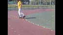 Обучение слалому (краб)