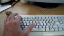 Ручное гнездышко