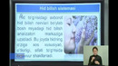 8-sinf. Biologiya. Hid bilish va tam bilish organlari