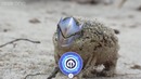 Angry Genji Mains (Overwatch)
