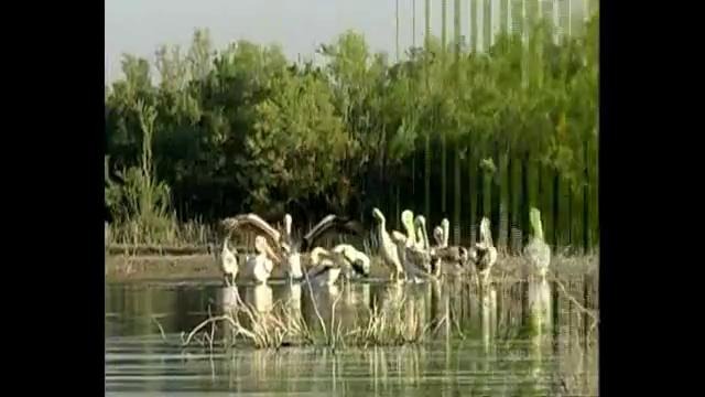 Природа узбекистана