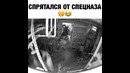 Спрятался от спецназа