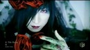 D – 7th Rose
