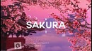 Japanese Type Beat – "Sakura&quot