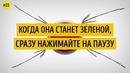 Тест на Скорость Реакции, Или Как Быстро Работает Ваш Мозг
