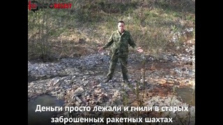 Блогеры нашли в лесу несколько миллиардов рублей