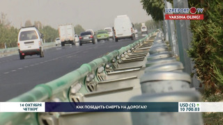 Спецрепортаж UZREPORT TV: Как победить смерть на дорогах