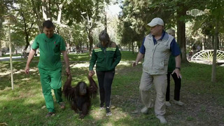 Ташкентский зоопарк – 1 выпуск | 2023