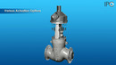 SanoatSantexnika com 17 High Pressure Globe Valve