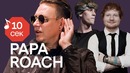 Узнать за 10 секунд | PAPA ROACH угадывают треки Linkin Park, MGK и еще 33 хита