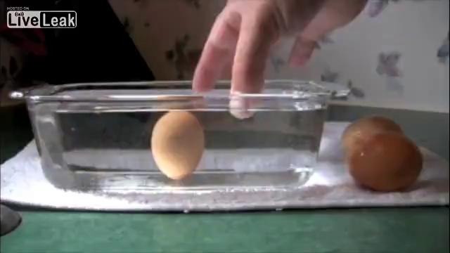 Как проверить хорошее ли яйцо
