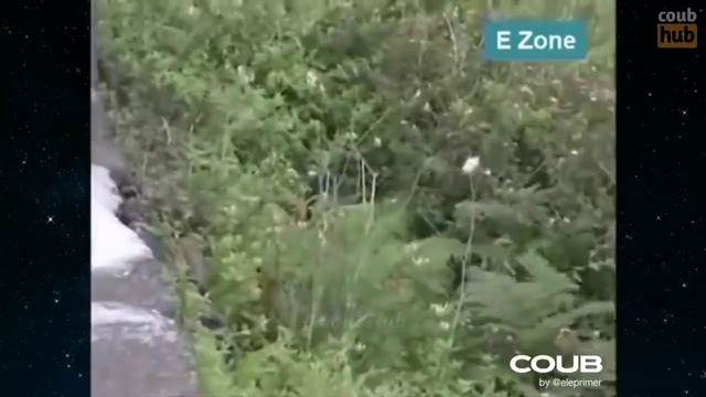 BEST CUBE #29 Gif With Sound compilation by CoubHub