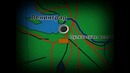 Ленинградский фронт. 2 серия. Враг у ворот. Документальный фильм
