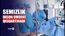 Semizlikni qanday davolash mumkin | sog’lom hayot