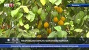 Respublika ishchi guruhining Buxoro viloyatiga safari davom etmoqda