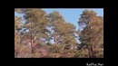 НЛО во Франции