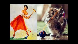 Funny cat & Смешные КОТИКИ 19 12 2019