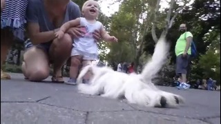 Кукловод гуляет по парку с невероятно живой плюшевой собакой