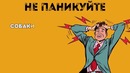 Что Делать, Если на Вас Напала Собака