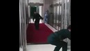 Полиция у них свои приколы