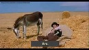 Который час? – Мегаприкол