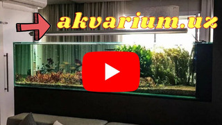 Akvarium.uz Аквариумы на заказ Ташкент, Akvariumlar buyurtma berish