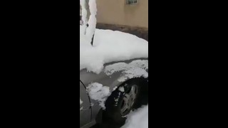 25 апреля в Кыргызстане выпал сильный снегопад